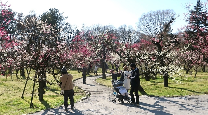 うめ園（令和４年度撮影）