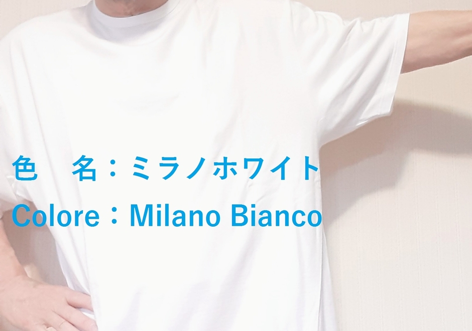 色はミラノの白