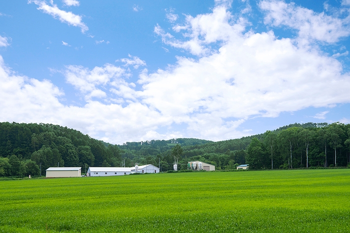 北海道でも北部に位置する森林の街「下川町」は夏と冬の寒暖差が60℃!