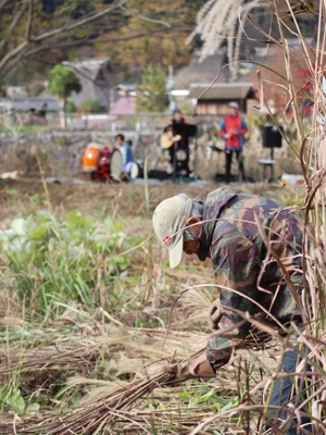 地域住民と一緒に茅を刈り、音楽や食、交流も楽しみながら、茅場を五感で体験する「カヤ・キャン美山」3