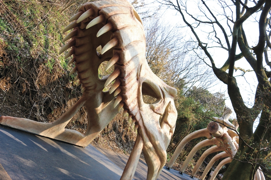 恐竜の森/巨大恐竜の骨