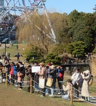 野鳥のガイドツアー (過去開催時の様子)