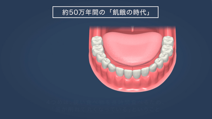 50万年間の舌の状態