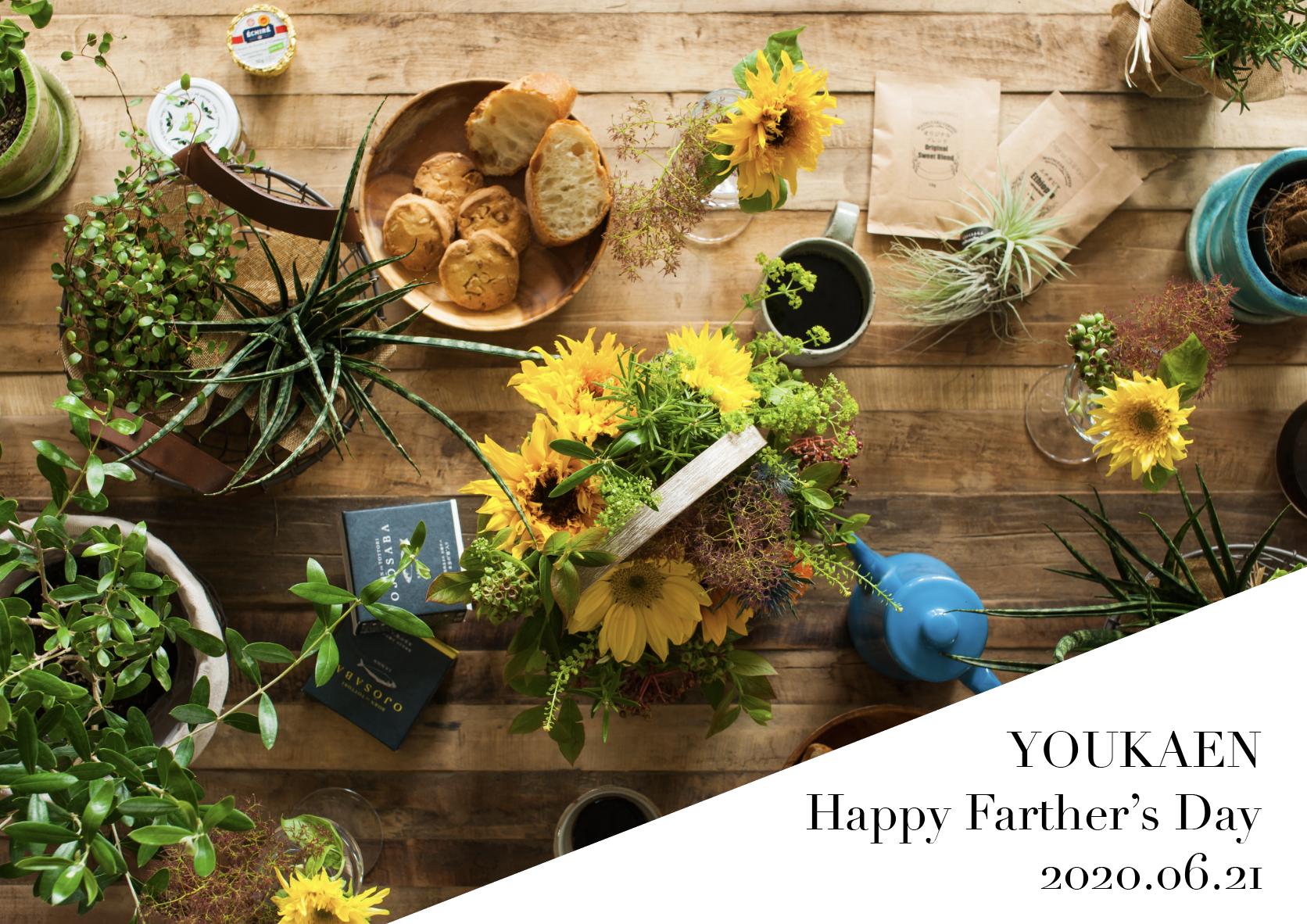 【父の日2020】花とプランツで、お父さんへのありがとうを伝える、おうち時間向上ギフト。