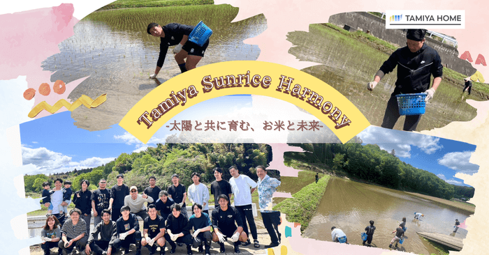 「Tamiya Sunrice Harmony」で収穫したお米を毎月5キロ寄付予定
