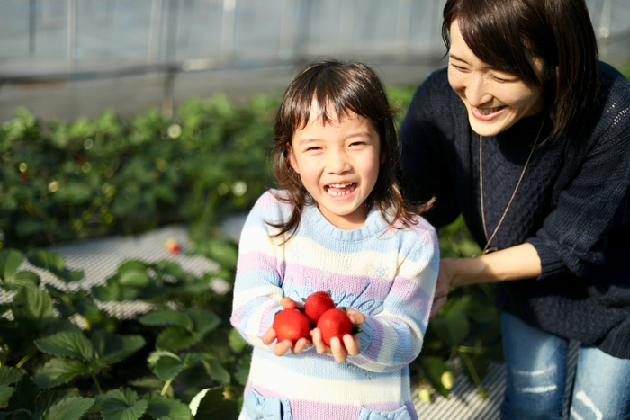 益子観光いちご団地(1)