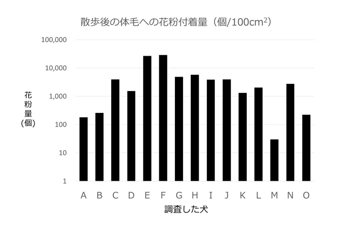 散歩後の犬の体毛への花粉付着量(個/100cm2)