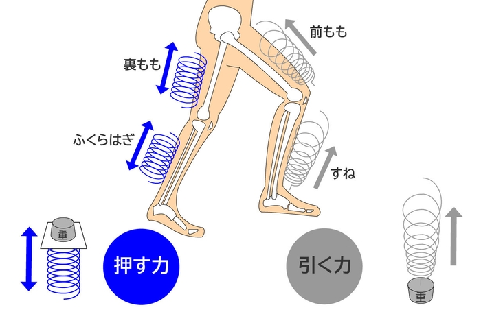 足のばねを使おう