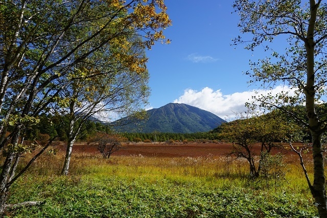 小田代ヶ原(初秋)