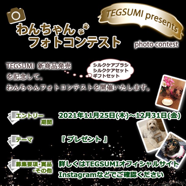 わんちゃんフォトコンテスト