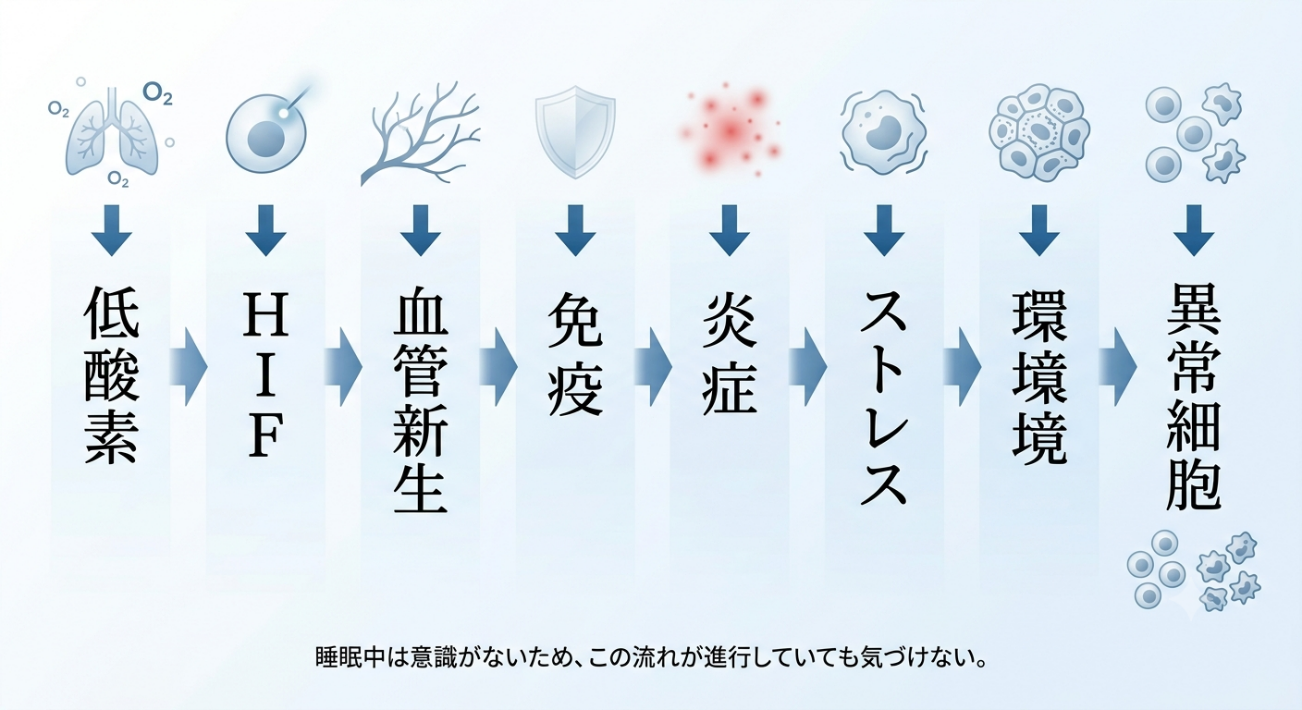 呼吸は変えられる──”低酸素はがんを促進する”という事実は
“動物モデル”では証明されるが、「人では永遠に証明できない」
