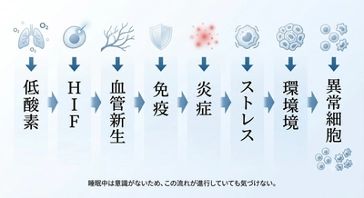呼吸は変えられる──”低酸素はがんを促進する”という事実は
“動物モデル”では証明されるが、「人では永遠に証明できない」