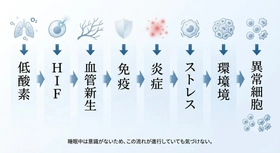 呼吸は変えられる──”低酸素はがんを促進する”という事実は
“動物モデル”では証明されるが、「人では永遠に証明できない」