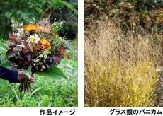 作品イメージ、グラス類のパニカム