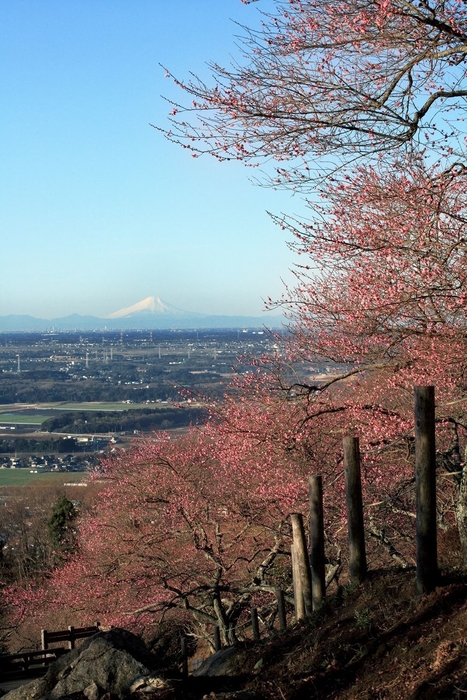 関東富士見百景