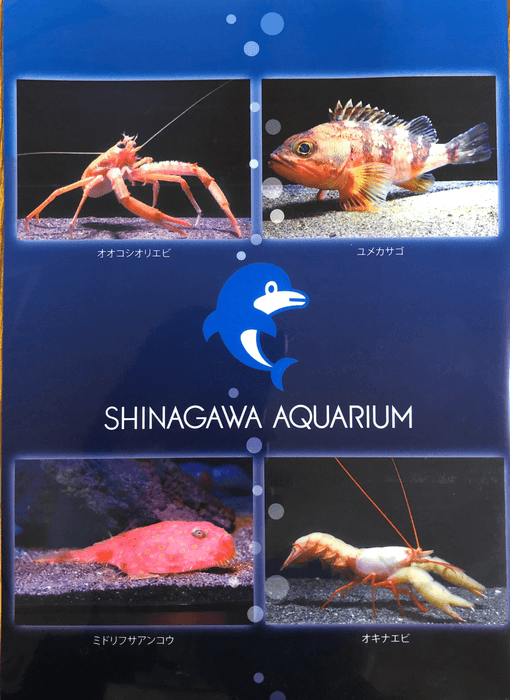 深海生物クリアファイル