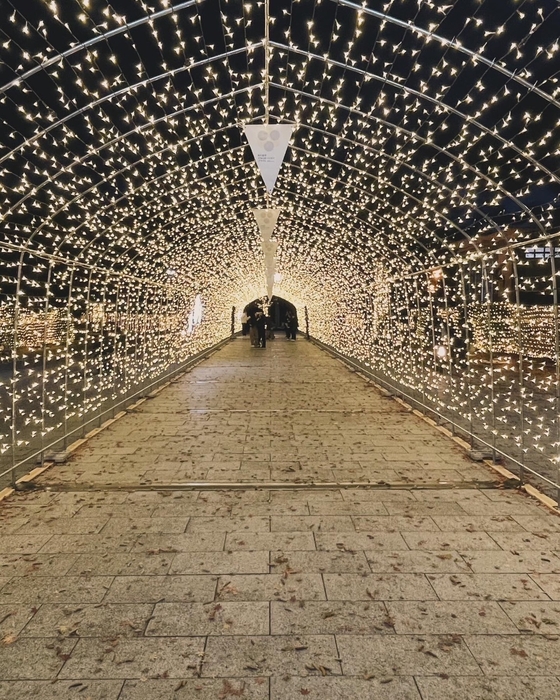 もりおかイルミネーションブライト2023-2024 メイン会場