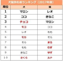 ペットの名前ランキング、犬は「マロン」ネコは「レオ」が第一位