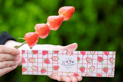 その他のスイーツ写真(2)