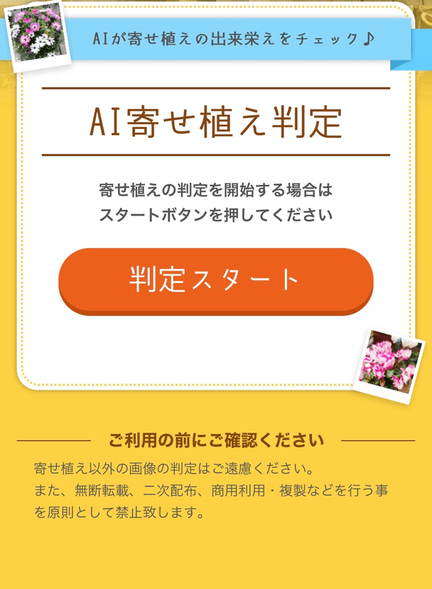 判定スタートボタンを押す