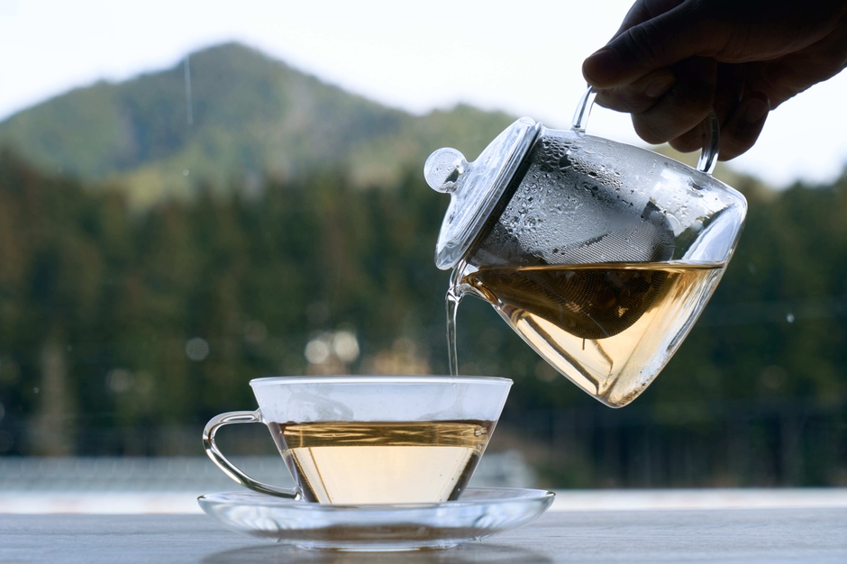 カウンター席からは美山の美しい景色が眺められます