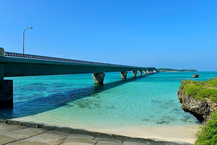 ANA中部宮古線 往復航空券(1)