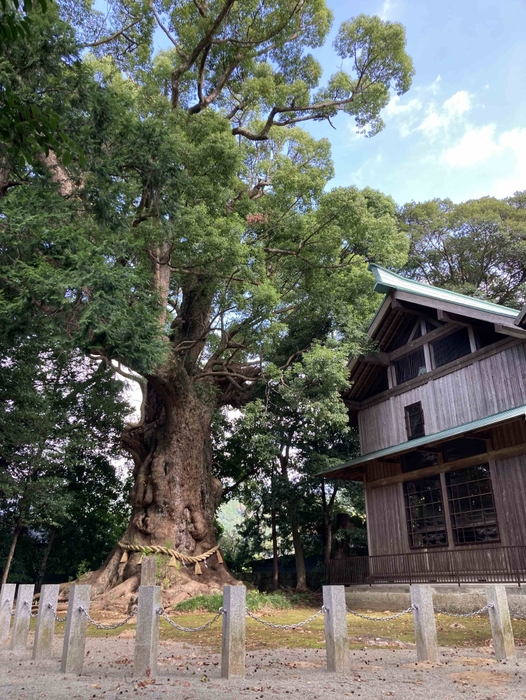 鳥精進酒精進の舞台_川津来宮神社