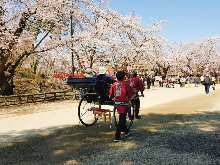 弘前公園観光人力車