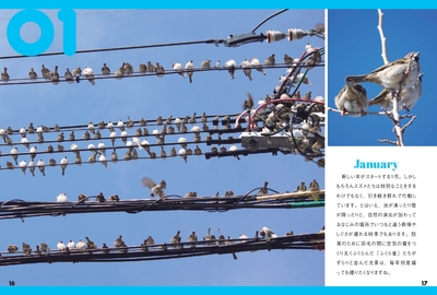 01 January①