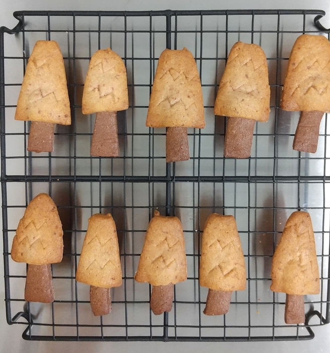 クッキーパーツ内容画像:メイプルレッドツリー