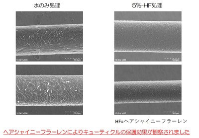 紫外線によるキューティクル保護効果