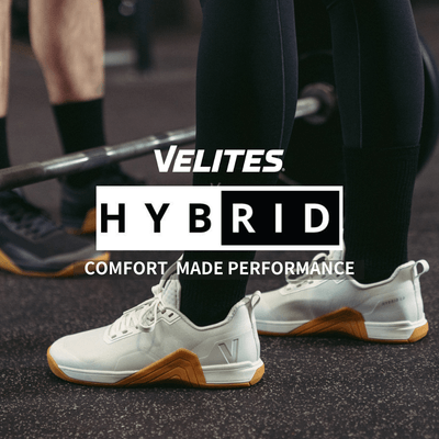 HYBRID1.0