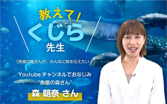 教えて!くじら先生