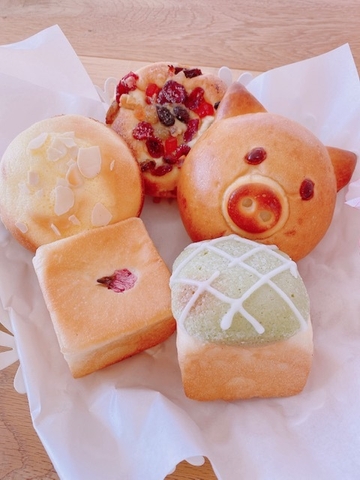 風のテラス