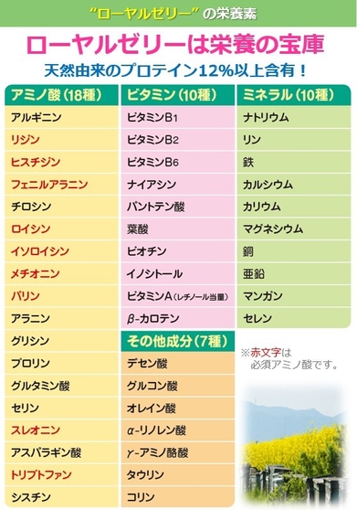 ローヤルゼリーの栄養