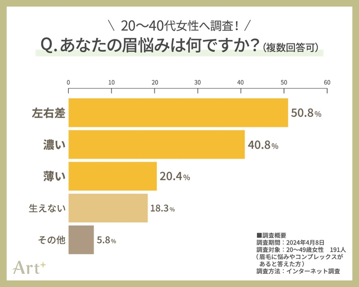 グラフ2(あなたの眉悩みは？)