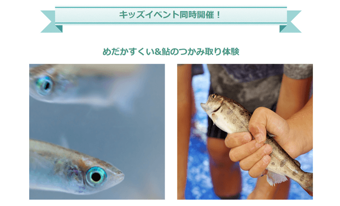KIDSエリア