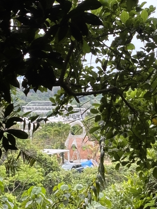 裏山の聖地から見下ろすKUu