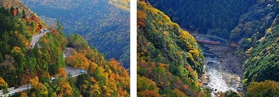 保津峡展望台からみたパークウエイ道路（左）と嵯峨野トロッコ列車（右）