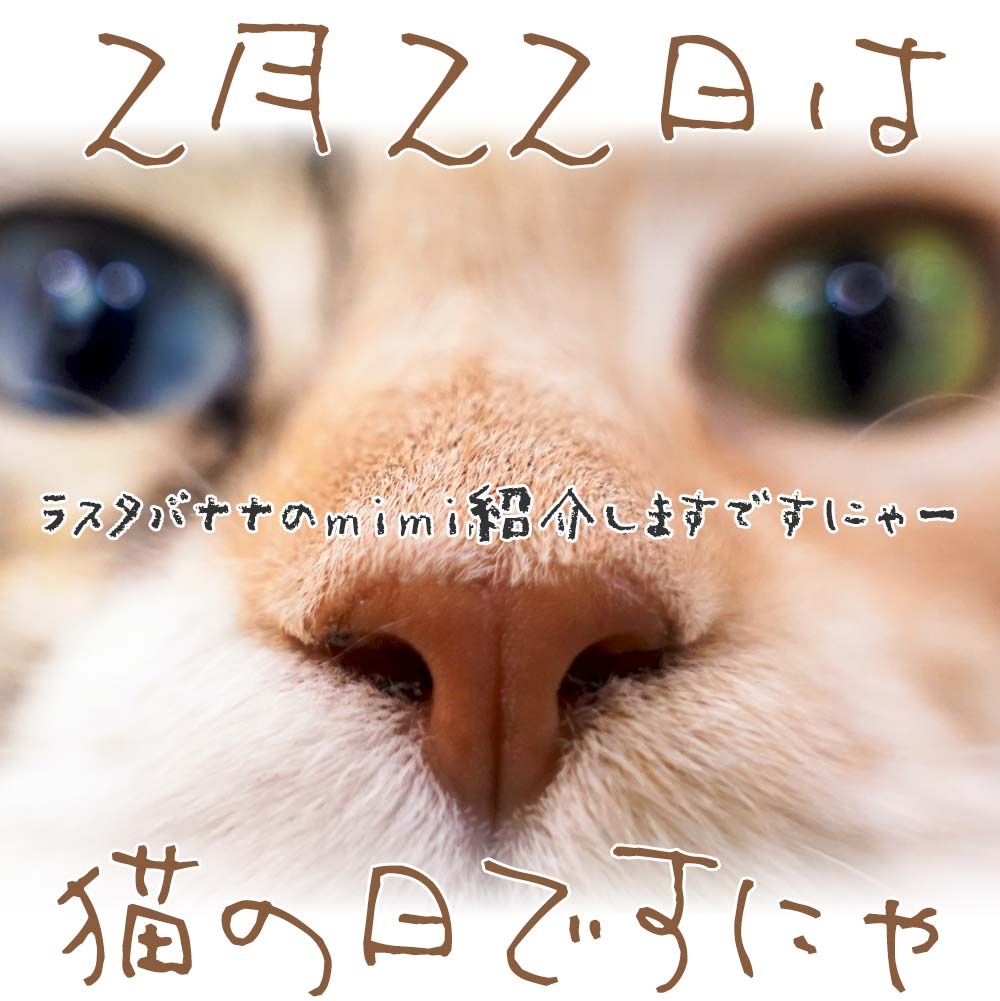 3年保証 2022年2月22日 猫の日記念銀メダル【週末値引き】 - コレクション