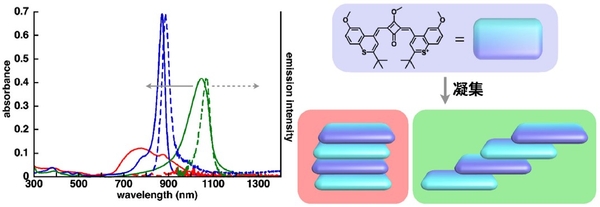 図2 溶媒分散状態での集合化挙動