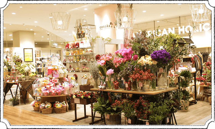 コノカ洛北阪急店