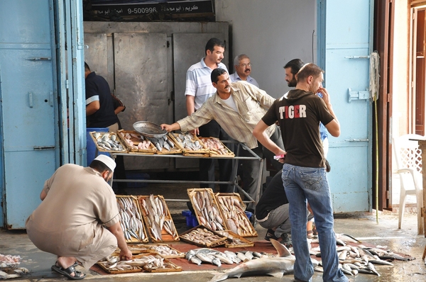 ガザにおける漁業規制
