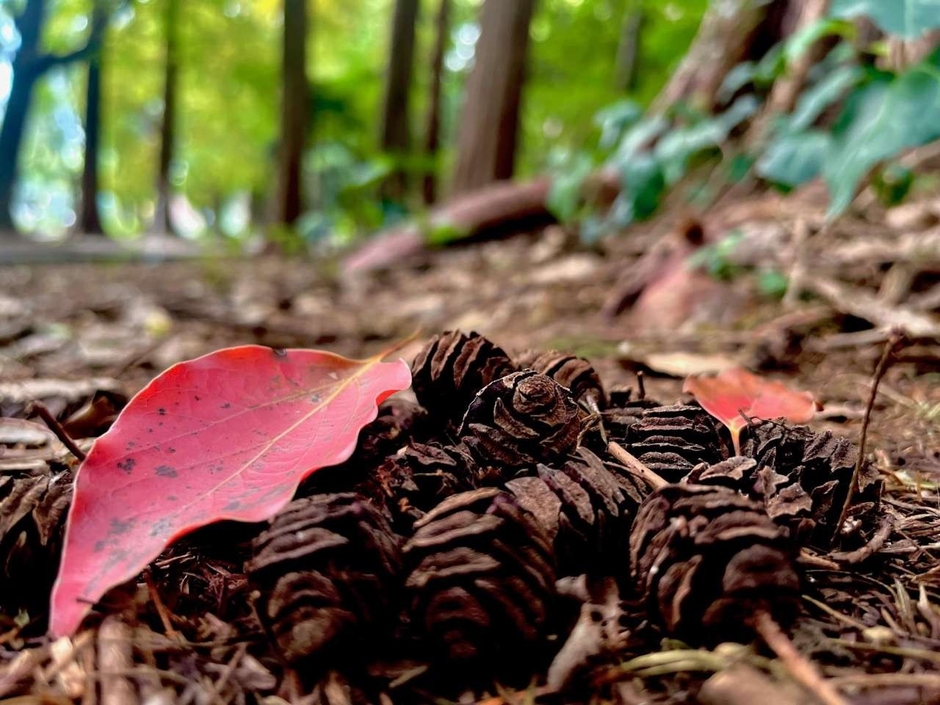自由散策時間での撮影。自分ならではの視点を探しまわりましょう。
