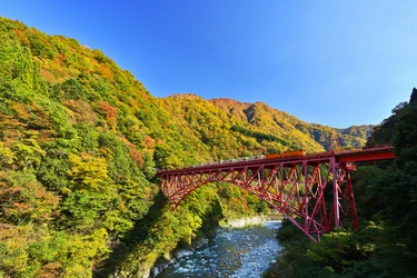 黒部峡谷（トロッコ電車沿線）の紅葉見頃について