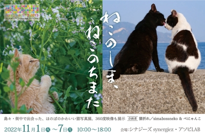 チラシ表面