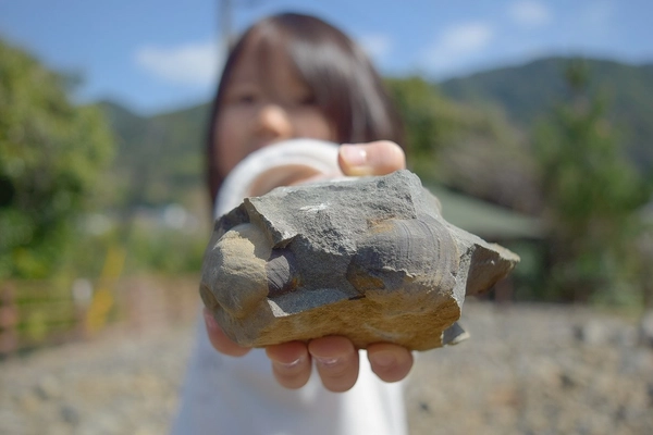 夏休みは1億年前の化石採集を！100％見つかる化石採集体験が 開始3ヶ月で来場者数3,000名を達成！ 熊本・天草の離島“恐竜の島”御所浦にて