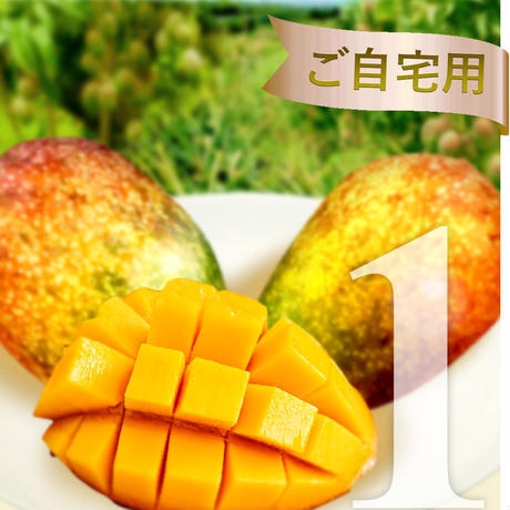 マンゴー1kg ￥4,000 送料無料