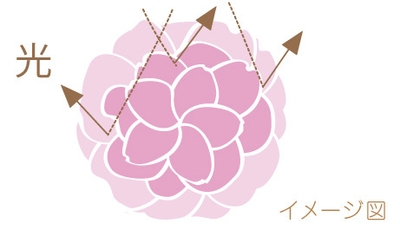 (おしろい)桜型パウダー配合