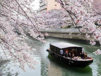 星のや東京　人力車と貸切舟から桜を愛でる「東京・春昼(しゅんちゅう)舟あそび」開催　期間：2021年3月25日〜4月10日